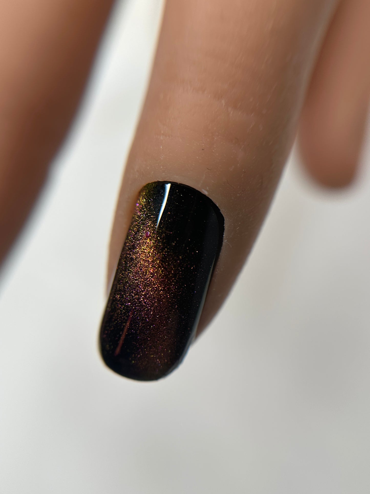 CAT EYES TROPICAL BLAZE 79